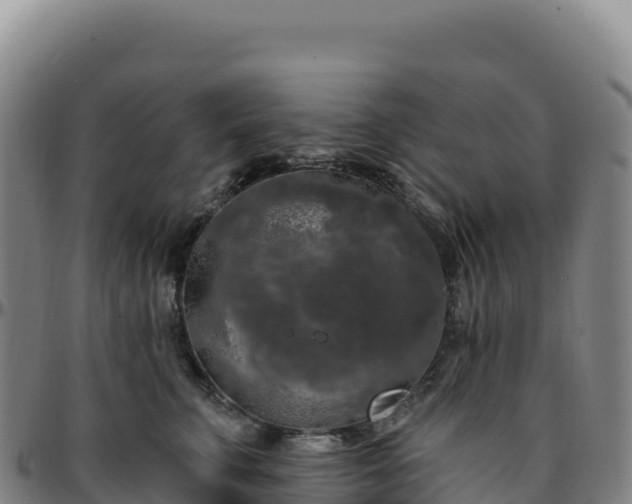 X0000096490711200801311618