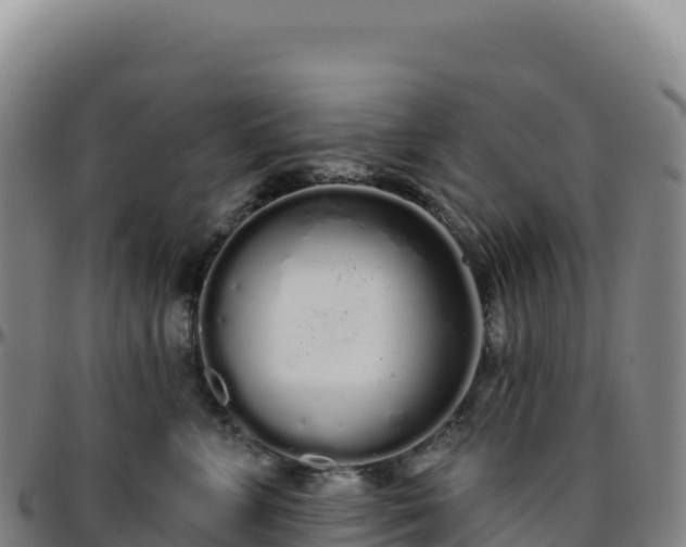 X0000096490715200801311618