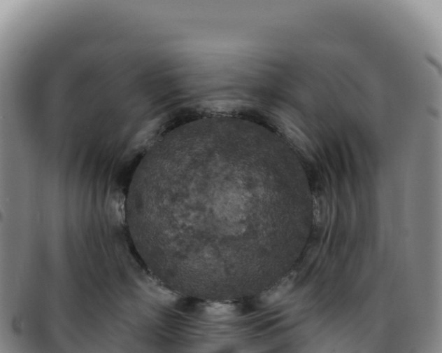 X0000096490718200801311618