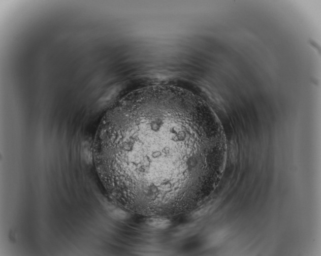 X0000096490719200801311618