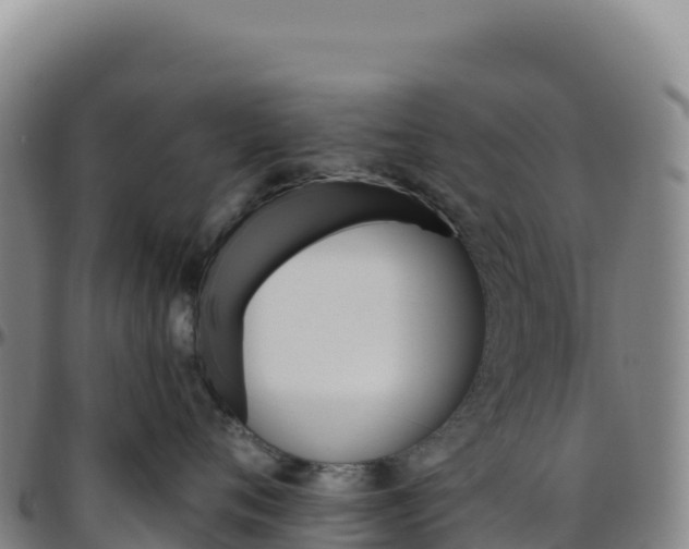 X0000096490720200801311618