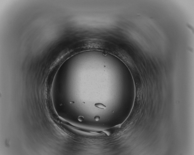 X0000096490722200801311618