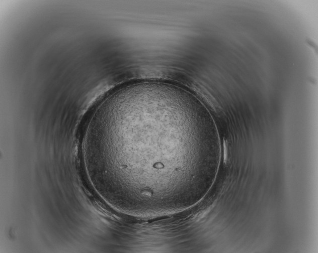 X0000096490723200801311618