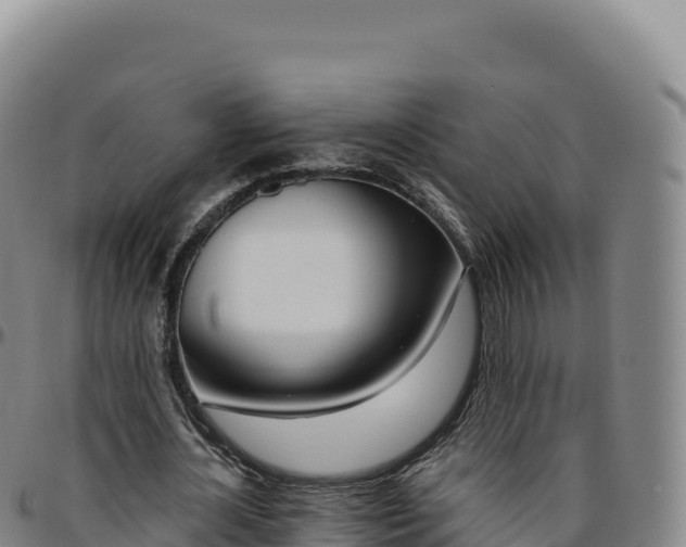 X0000096490724200801311618