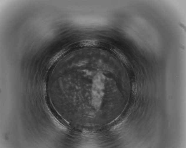 X0000096490725200801311618