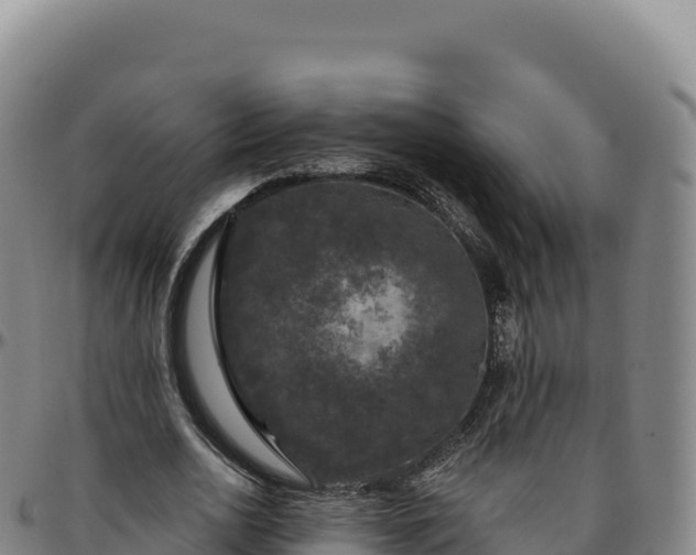 X0000096490726200801311618