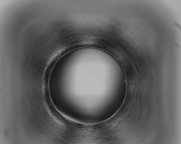 X0000096490728200801311618