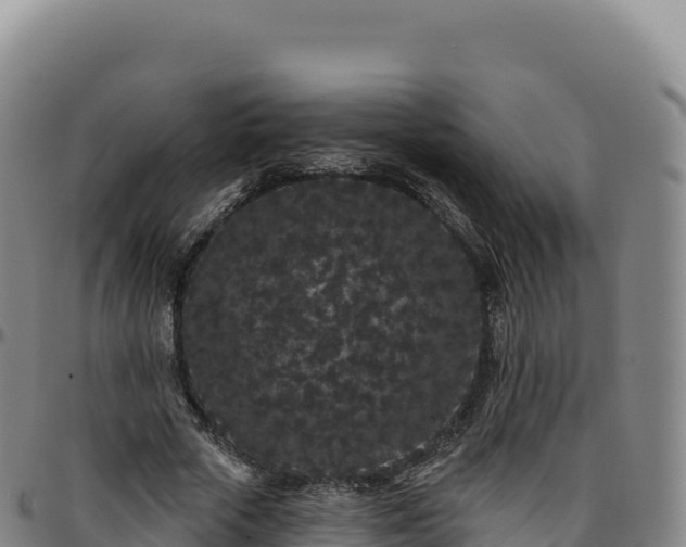 X0000096490729200801311618