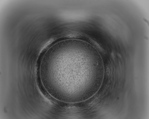 X0000096490730200801311618