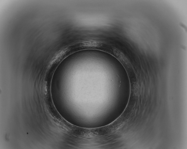 X0000096490731200801311618