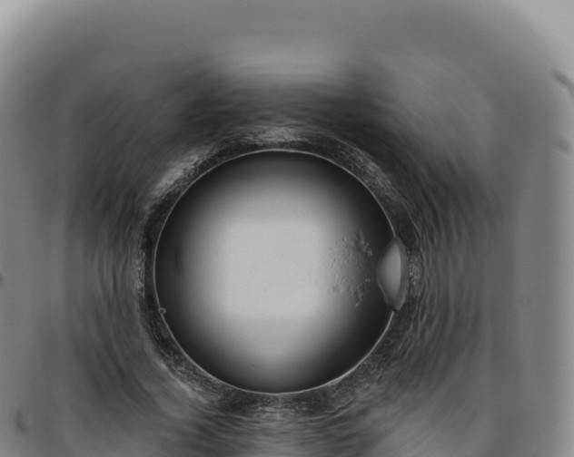 X0000096490732200801311618