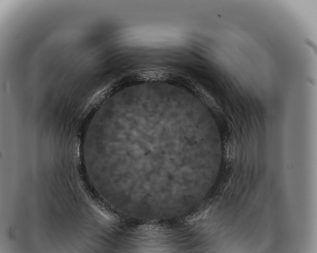 X0000096490733200801311618