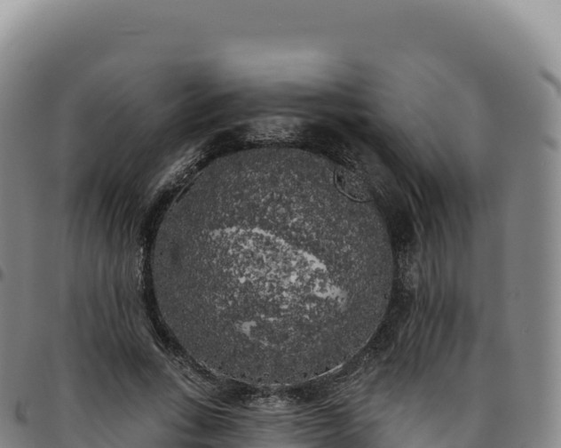 X0000096490735200801311618