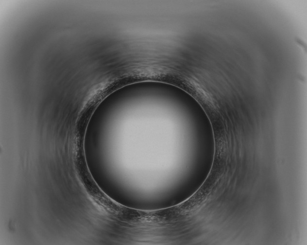 X0000096490736200801311618