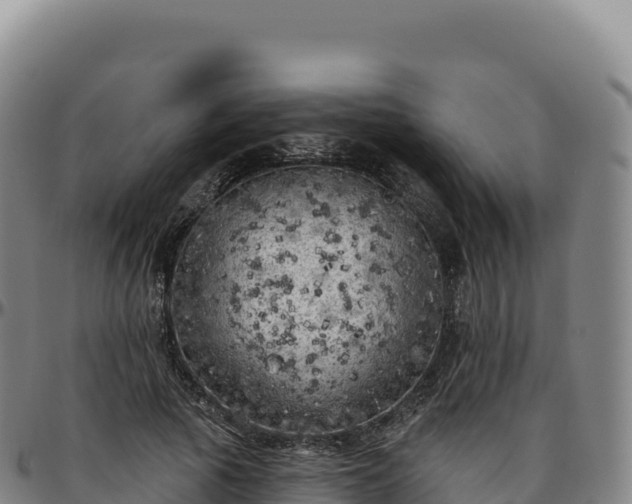 X0000096490737200801311618