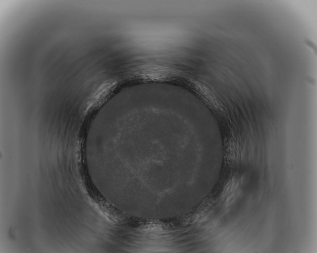 X0000096490738200801311618