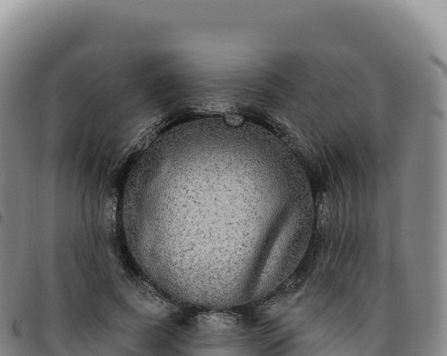 X0000096490739200801311618