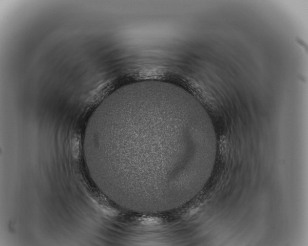 X0000096490741200801311618