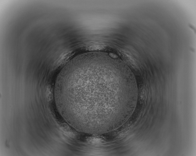 X0000096490743200801311618