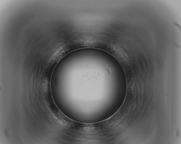 X0000096490744200801311618