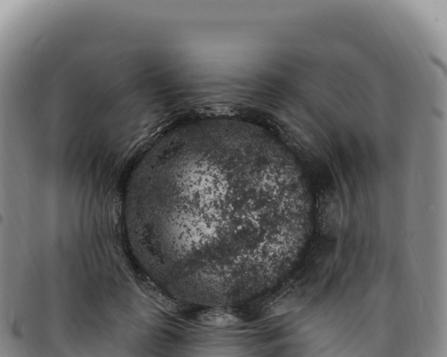 X0000096490747200801311618