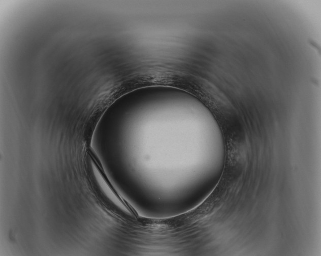 X0000096490748200801311618