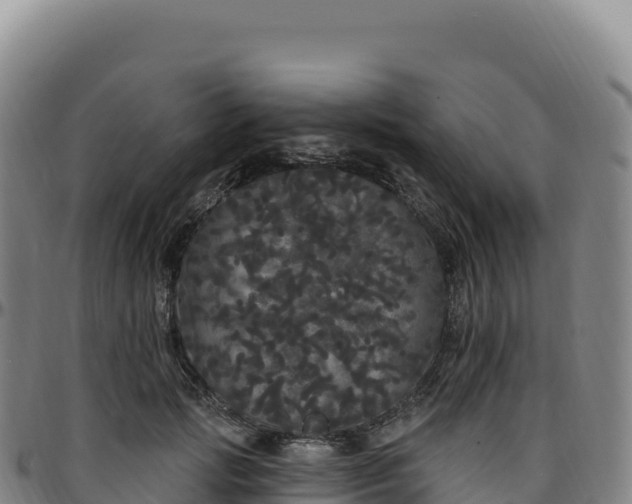 X0000096490749200801311618