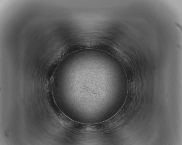 X0000096490750200801311618