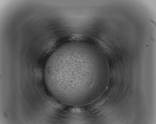 X0000096490751200801311618