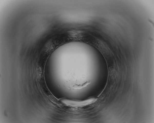 X0000096490752200801311618