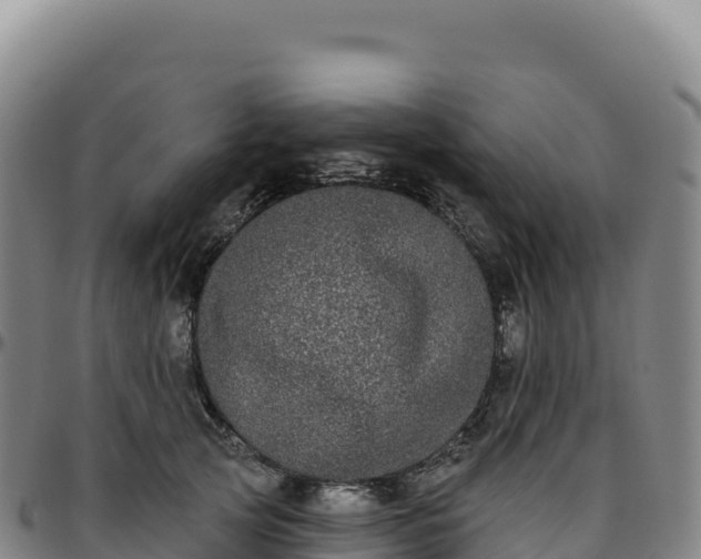 X0000096490753200801311618