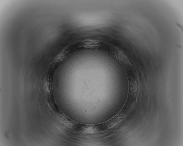 X0000096490755200801311618