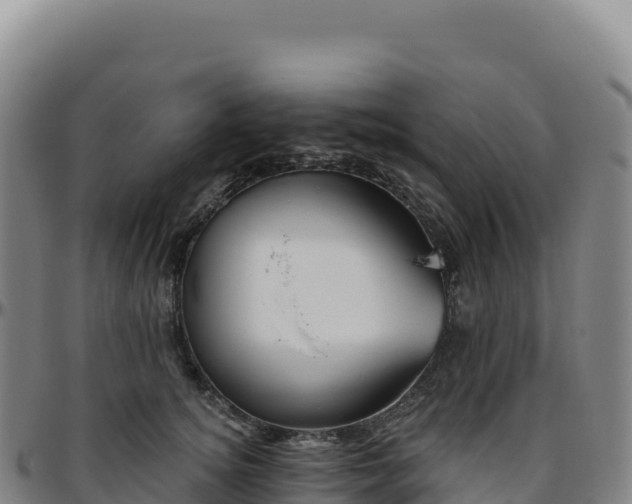 X0000096490756200801311618