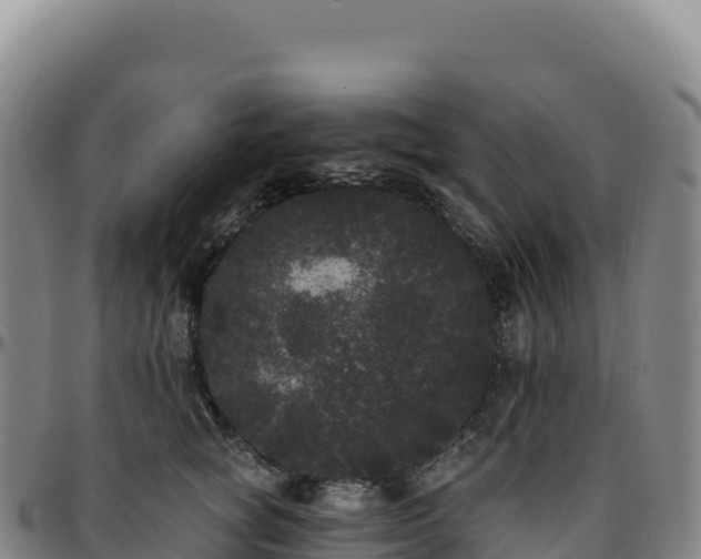 X0000096490757200801311618