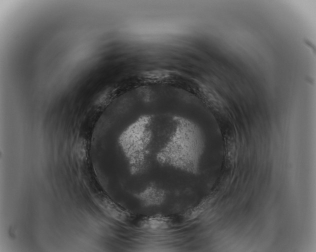 X0000096490758200801311618