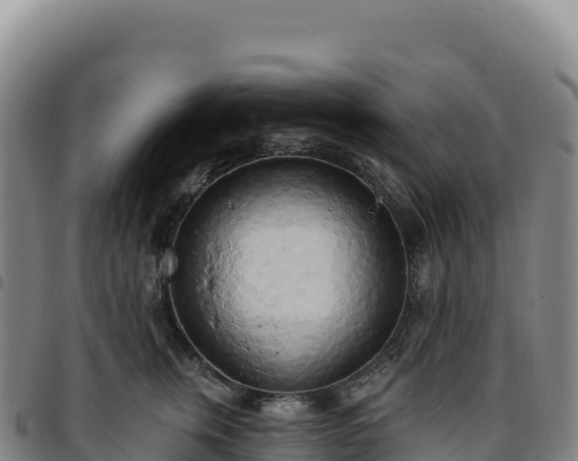 X0000096490759200801311618