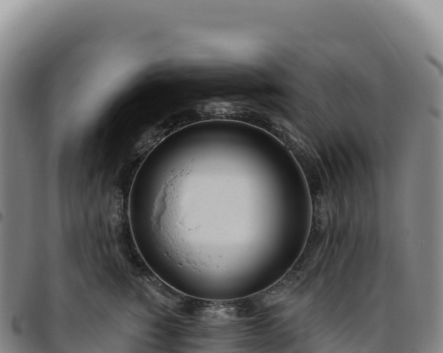 X0000096490760200801311618