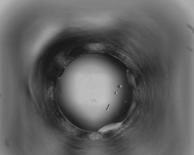 X0000096490762200801311618