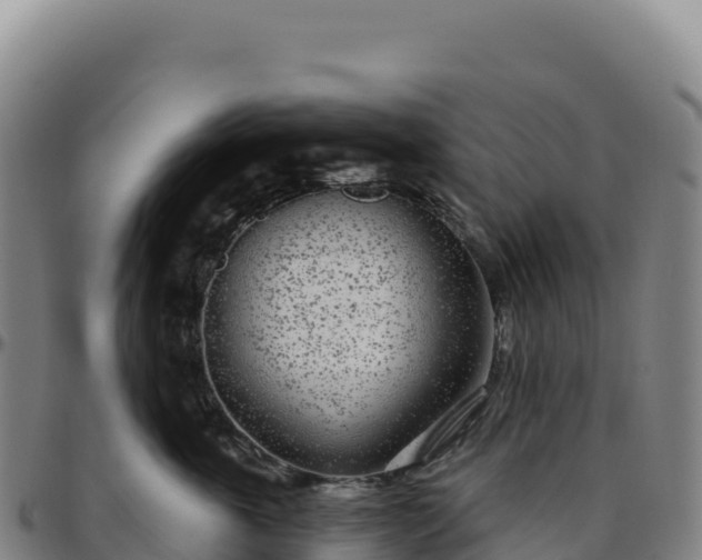 X0000096490763200801311618