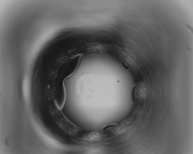 X0000096490764200801311618