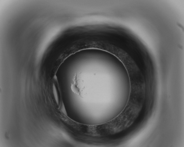 X0000096490766200801311618