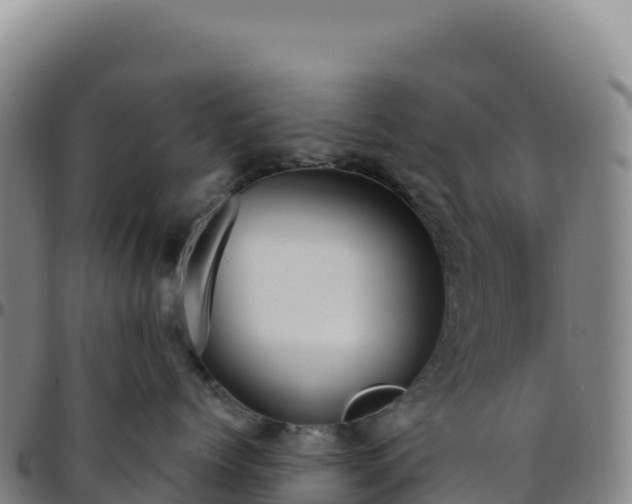 X0000096490768200801311618