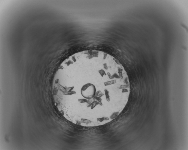 X0000096490769200801311618