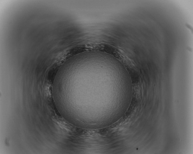 X0000096490770200801311618