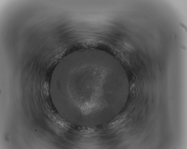 X0000096490772200801311618