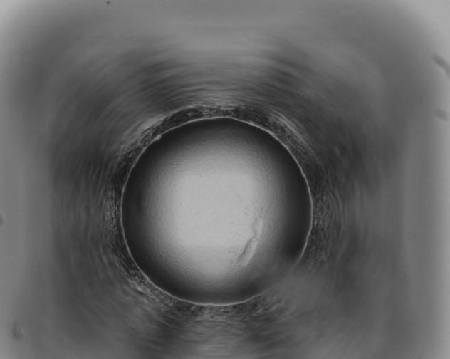 X0000096490773200801311618