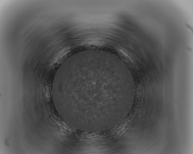 X0000096490774200801311618