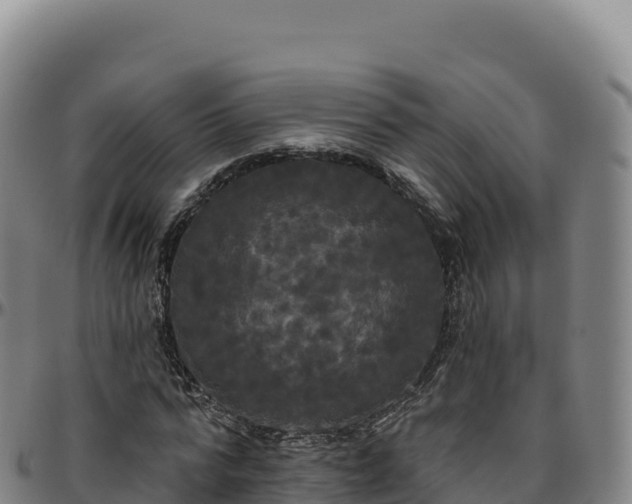 X0000096490776200801311618