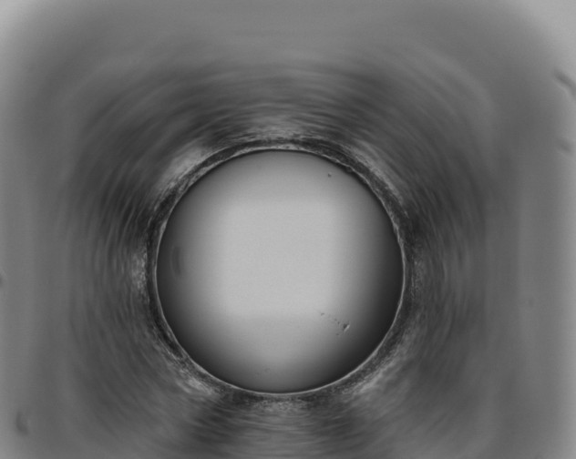 X0000096490778200801311617