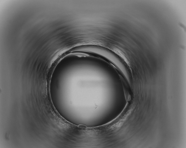 X0000096490781200801311617